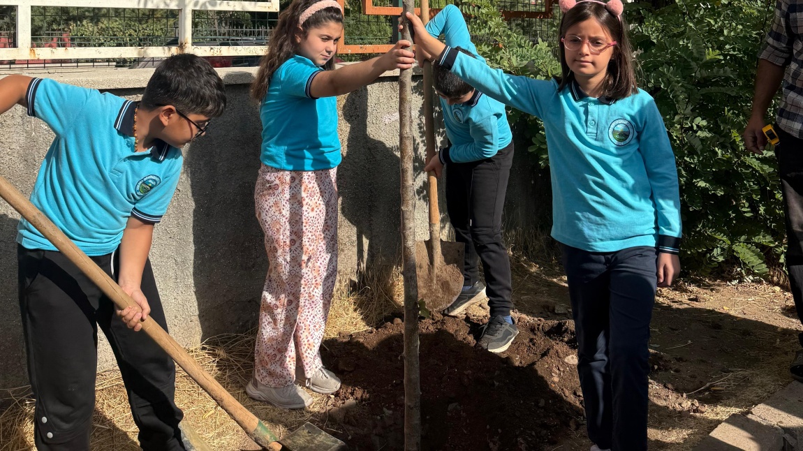  Yeşil Vatan Benim Okulum, Geleceğe Çare Projesi – Ağaçlandırma ve Böğürtlen Dikimi Yapıldı.